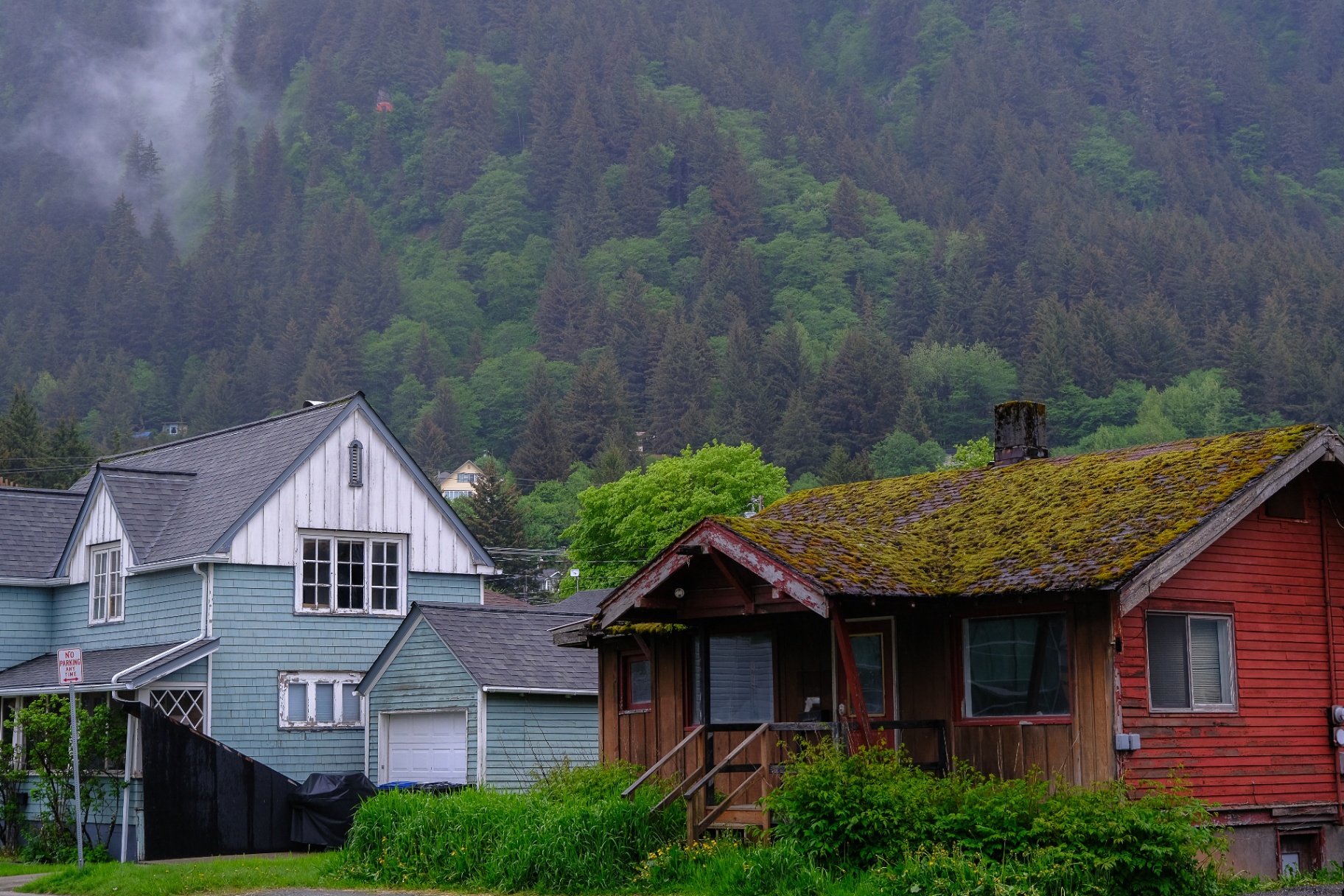 Juneau homes tucked against the forested Southeast Alaska hillside